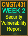 CMGT/431 Security Vulnerability Report